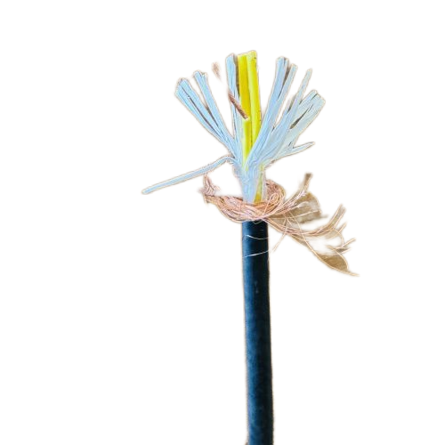 尊龙人生就是博·Z6「中国区」首页官网