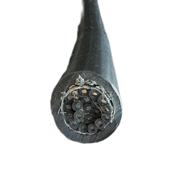 尊龙人生就是博·Z6「中国区」首页官网