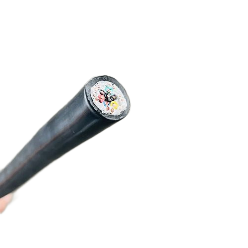 尊龙人生就是博·Z6「中国区」首页官网