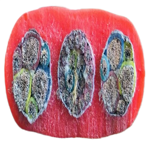 尊龙人生就是博·Z6「中国区」首页官网