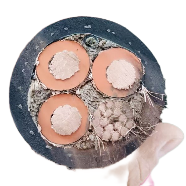 尊龙人生就是博·Z6「中国区」首页官网