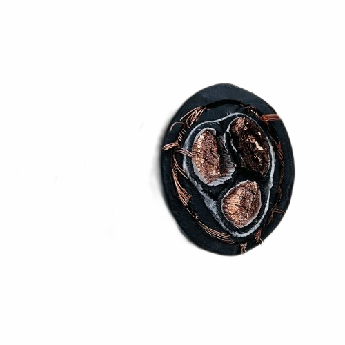 尊龙人生就是博·Z6「中国区」首页官网