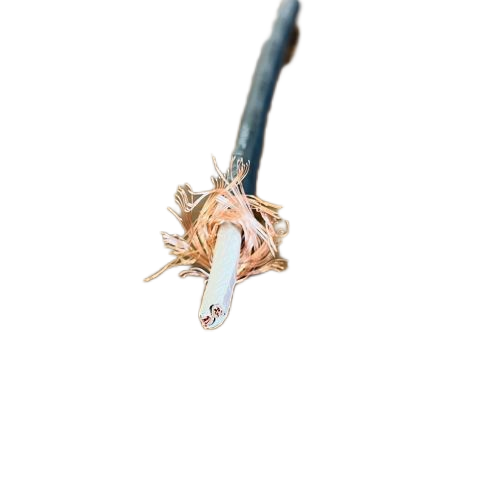 �����������ǲ���Z6���й�������ҳ����