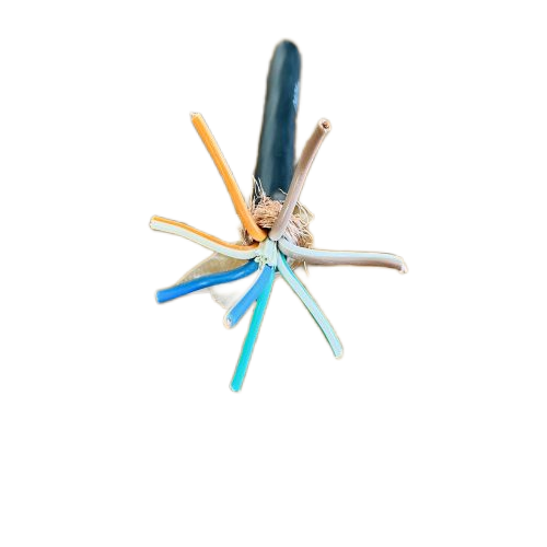 尊龙人生就是博·Z6「中国区」首页官网