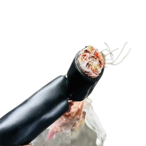 尊龙人生就是博·Z6「中国区」首页官网