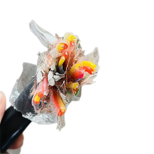 尊龙人生就是博·Z6「中国区」首页官网