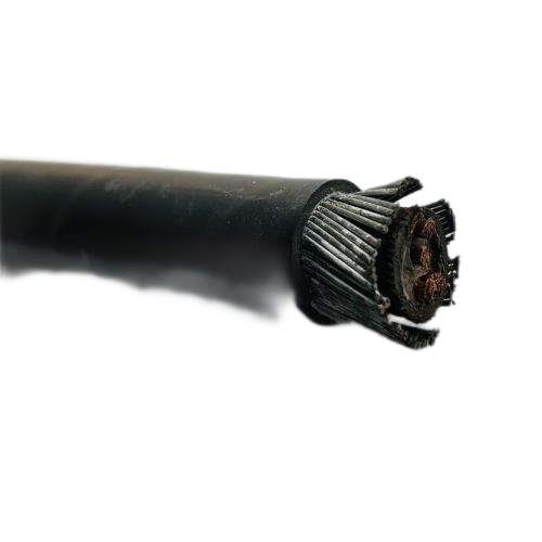 尊龙人生就是博·Z6「中国区」首页官网