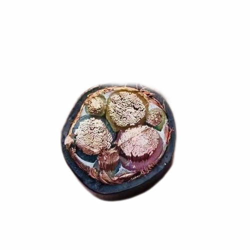 �����������ǲ���Z6���й�������ҳ����