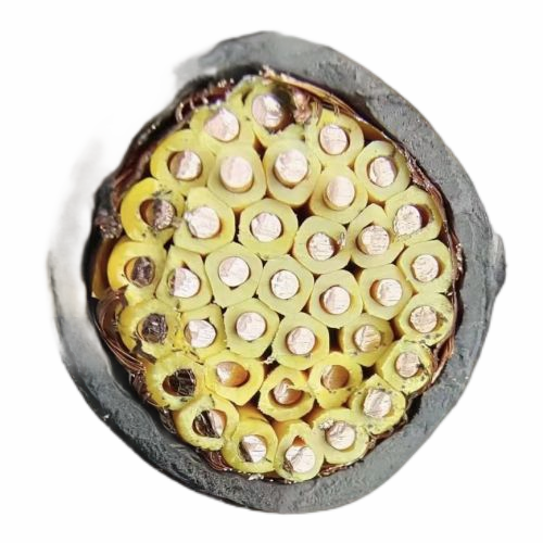 �����������ǲ���Z6���й�������ҳ����