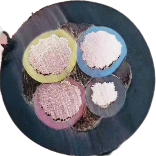 尊龙人生就是博·Z6「中国区」首页官网