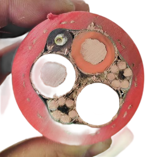 尊龙人生就是博·Z6「中国区」首页官网