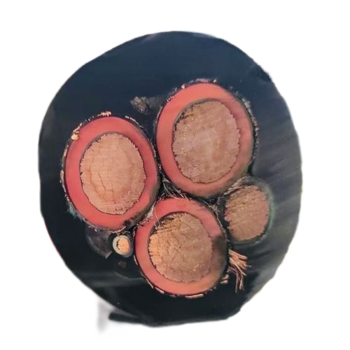 尊龙人生就是博·Z6「中国区」首页官网