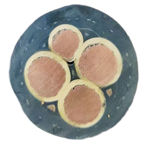 尊龙人生就是博·Z6「中国区」首页官网