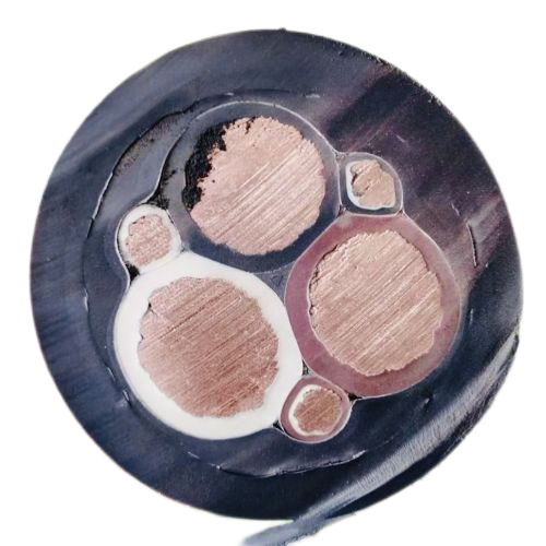 尊龙人生就是博·Z6「中国区」首页官网