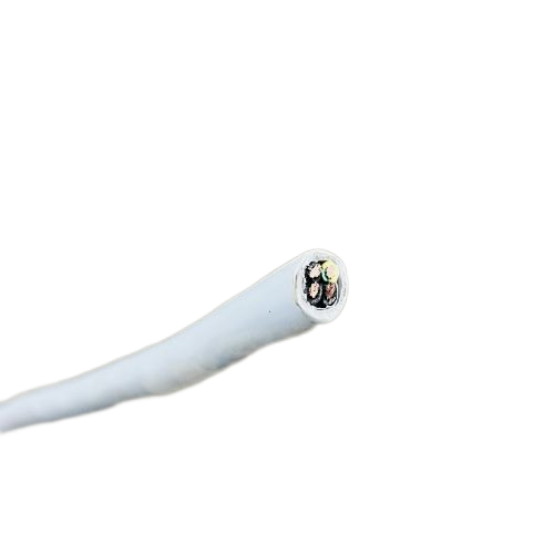 �����������ǲ���Z6���й�������ҳ����