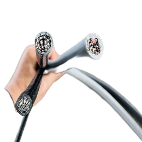 尊龙人生就是博·Z6「中国区」首页官网