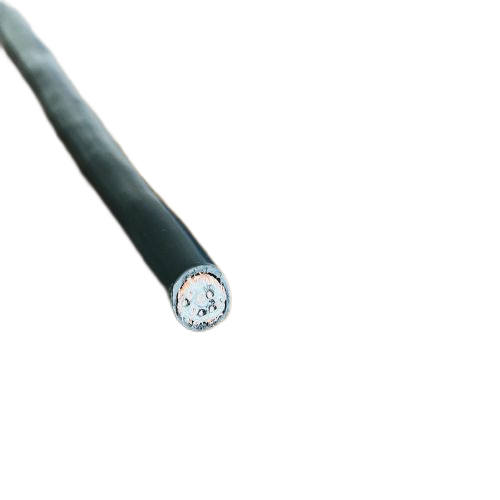 尊龙人生就是博·Z6「中国区」首页官网