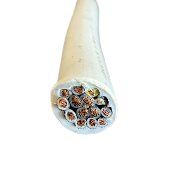 尊龙人生就是博·Z6「中国区」首页官网