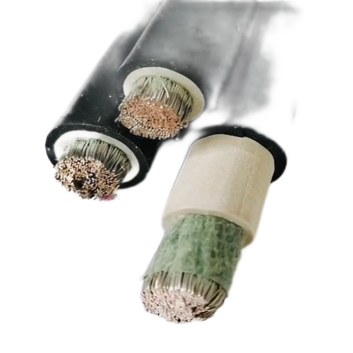 尊龙人生就是博·Z6「中国区」首页官网