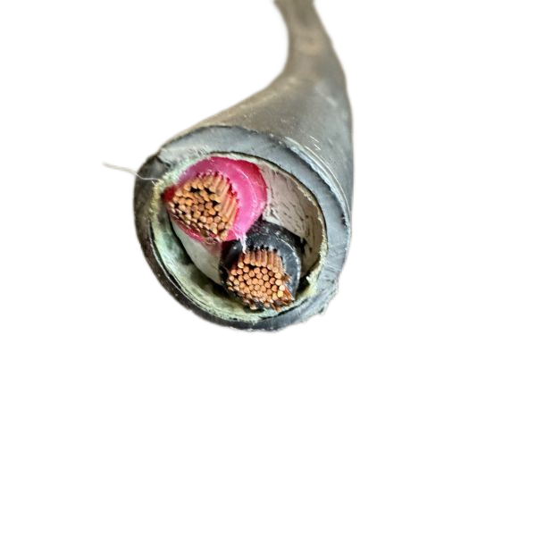 尊龙人生就是博·Z6「中国区」首页官网