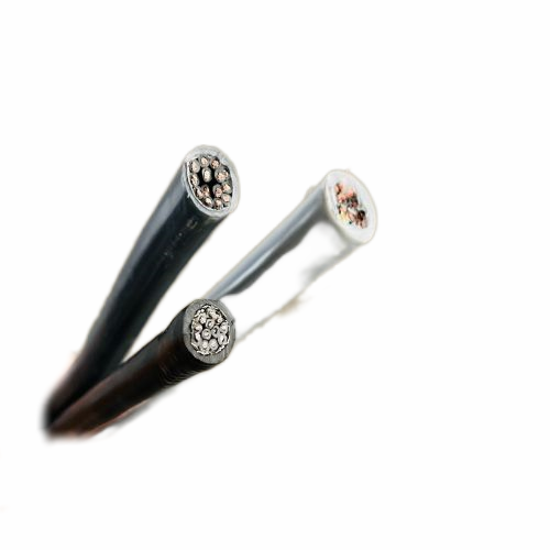 尊龙人生就是博·Z6「中国区」首页官网