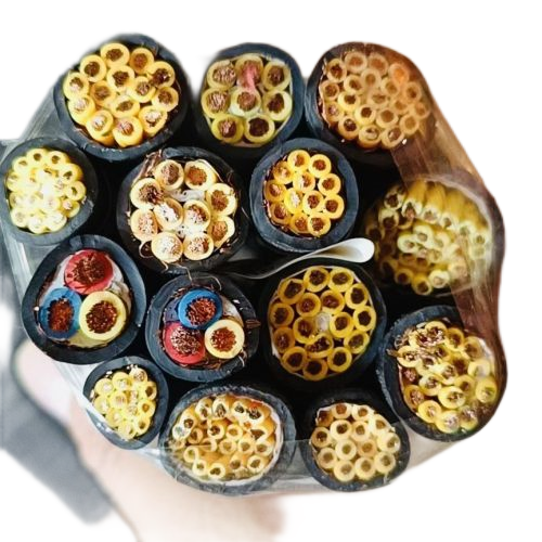 尊龙人生就是博·Z6「中国区」首页官网