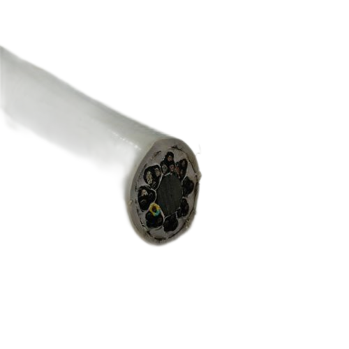 尊龙人生就是博·Z6「中国区」首页官网