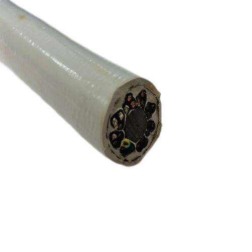 尊龙人生就是博·Z6「中国区」首页官网