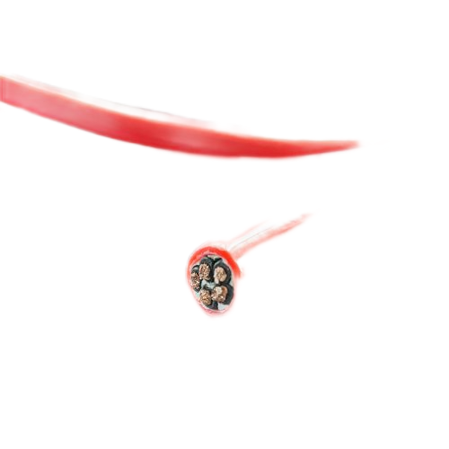 尊龙人生就是博·Z6「中国区」首页官网