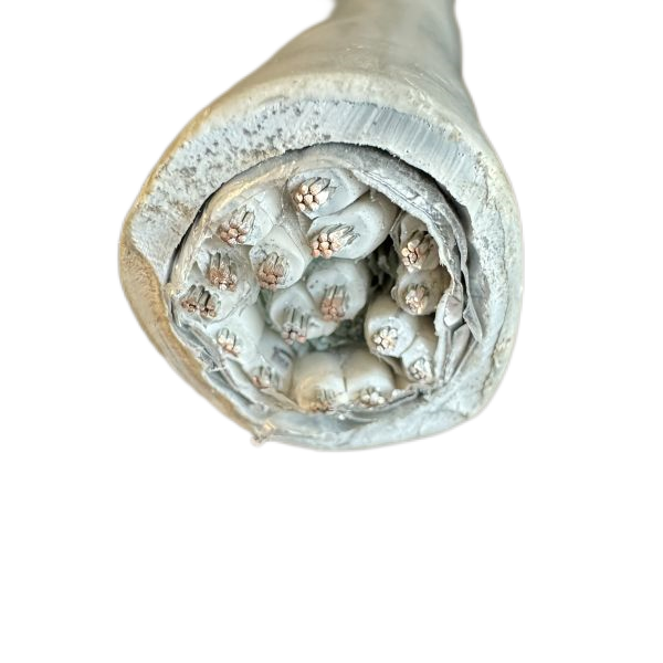 尊龙人生就是博·Z6「中国区」首页官网