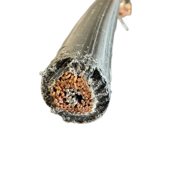 尊龙人生就是博·Z6「中国区」首页官网