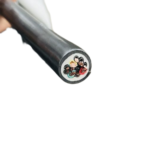 尊龙人生就是博·Z6「中国区」首页官网