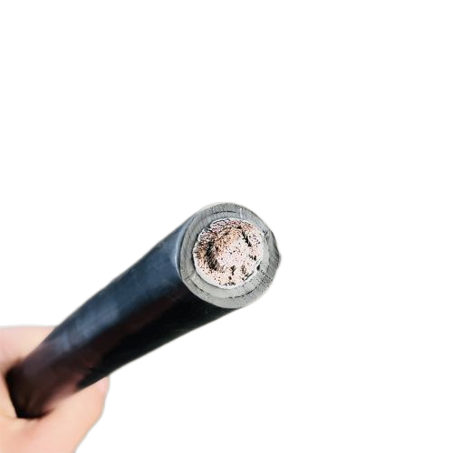 尊龙人生就是博·Z6「中国区」首页官网