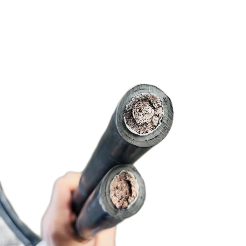 尊龙人生就是博·Z6「中国区」首页官网