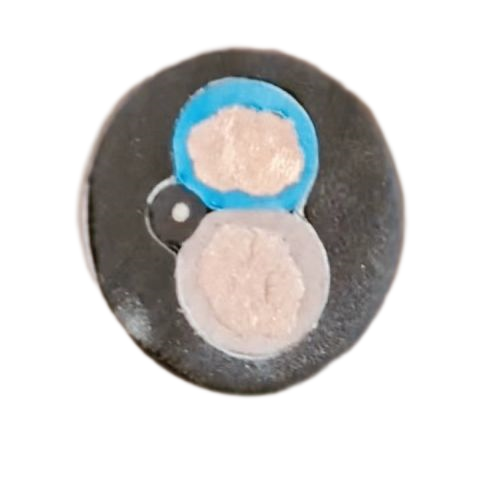 尊龙人生就是博·Z6「中国区」首页官网