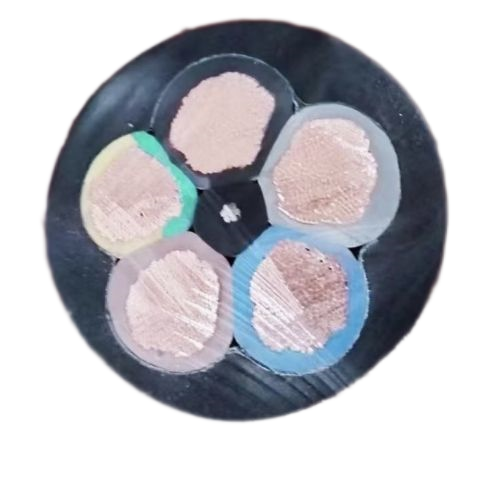 尊龙人生就是博·Z6「中国区」首页官网