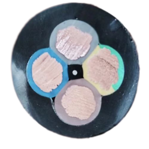 尊龙人生就是博·Z6「中国区」首页官网