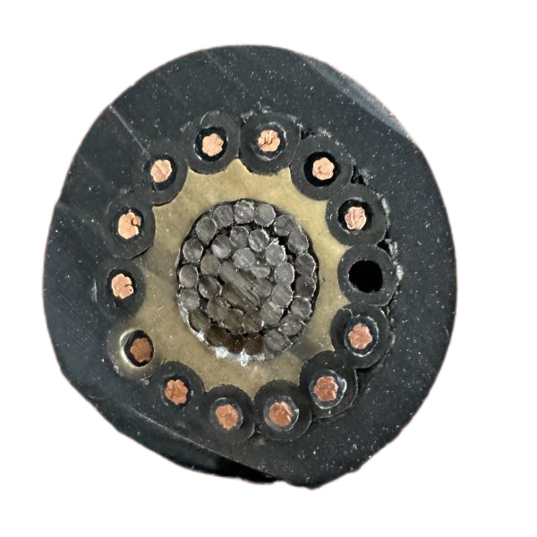 尊龙人生就是博·Z6「中国区」首页官网