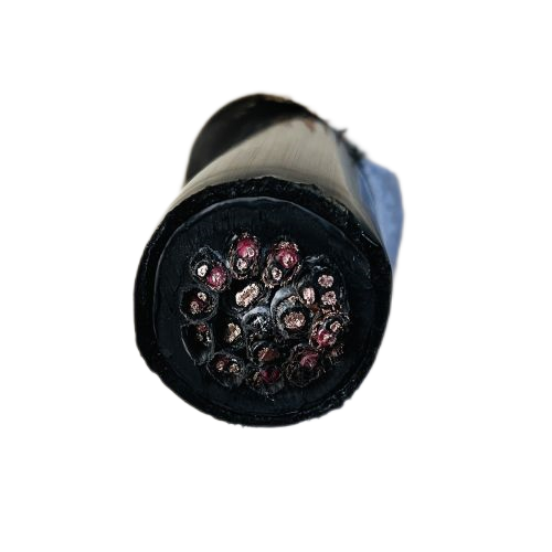 尊龙人生就是博·Z6「中国区」首页官网