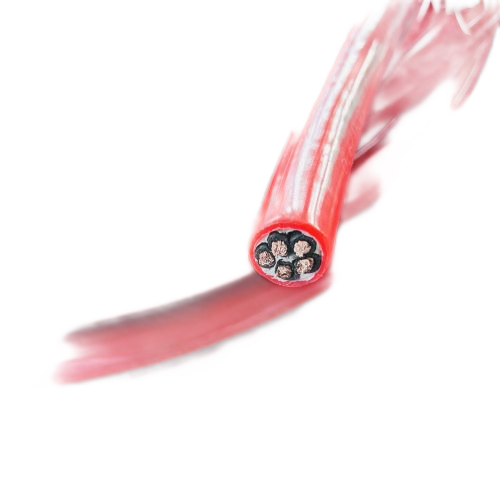 尊龙人生就是博·Z6「中国区」首页官网