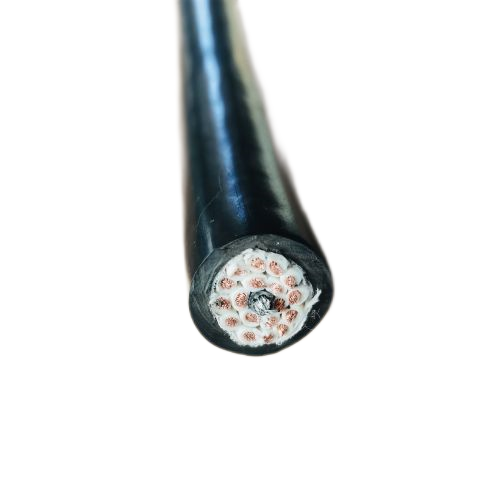 �����������ǲ���Z6���й�������ҳ����