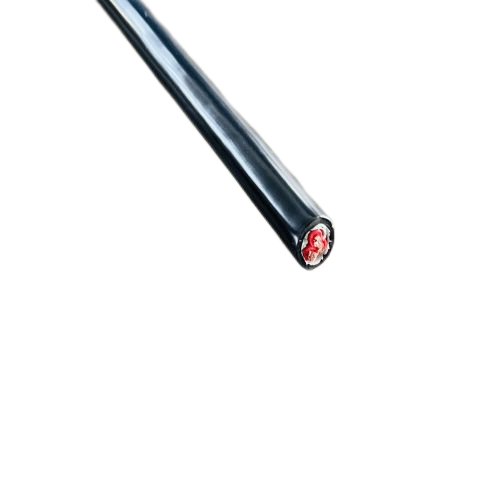 尊龙人生就是博·Z6「中国区」首页官网