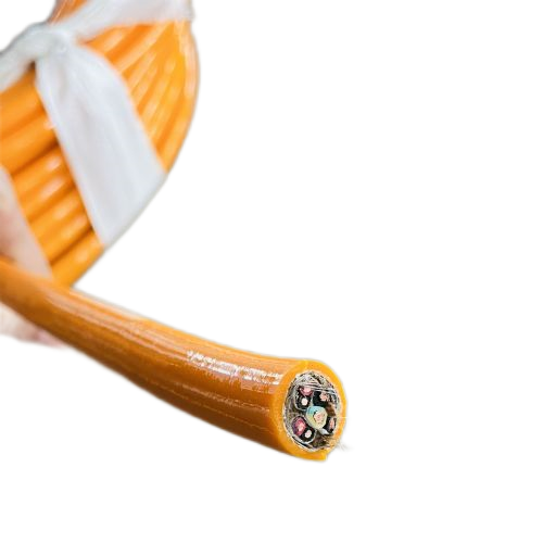 �����������ǲ���Z6���й�������ҳ����