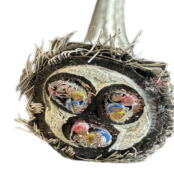 尊龙人生就是博·Z6「中国区」首页官网