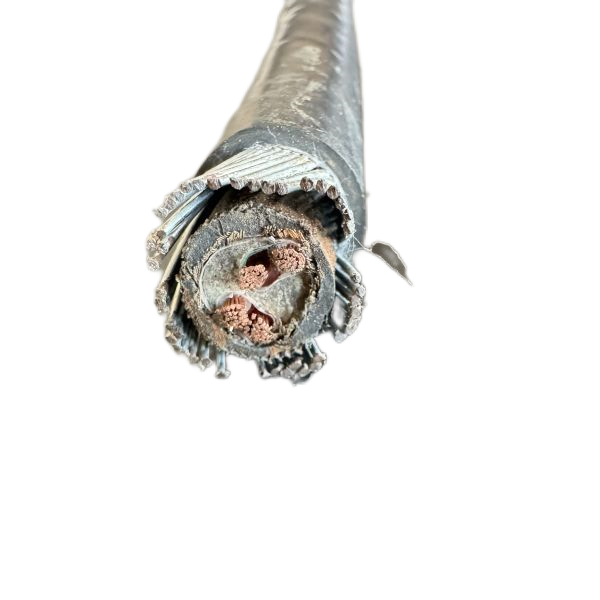 尊龙人生就是博·Z6「中国区」首页官网