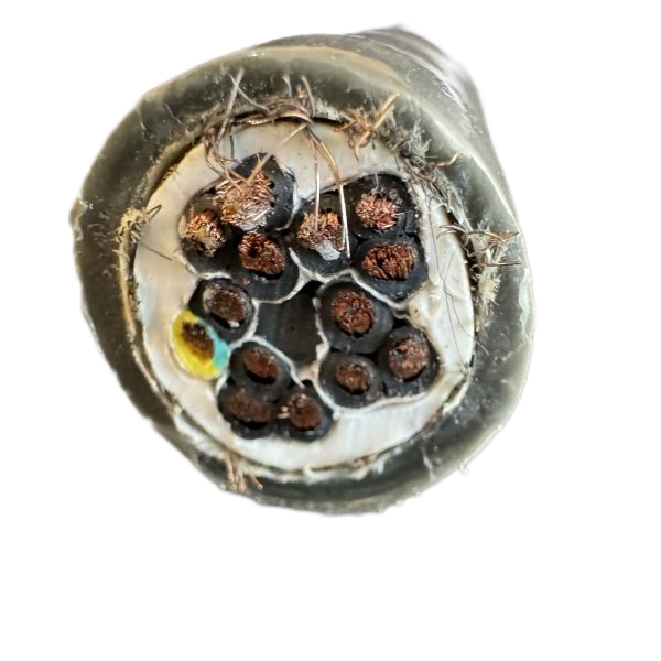 尊龙人生就是博·Z6「中国区」首页官网