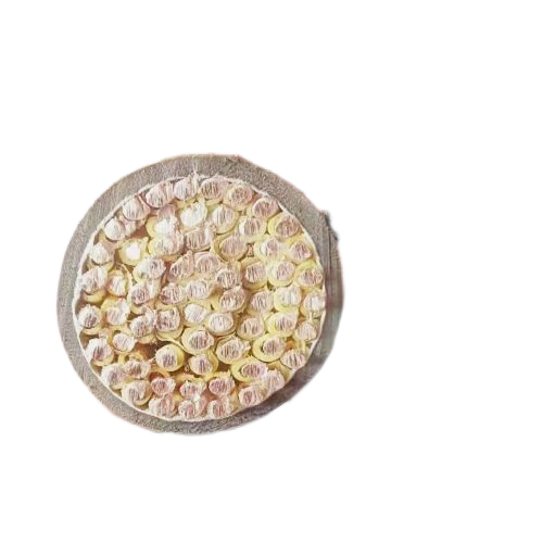 尊龙人生就是博·Z6「中国区」首页官网