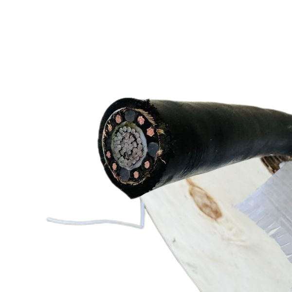 尊龙人生就是博·Z6「中国区」首页官网