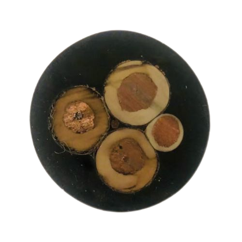 尊龙人生就是博·Z6「中国区」首页官网