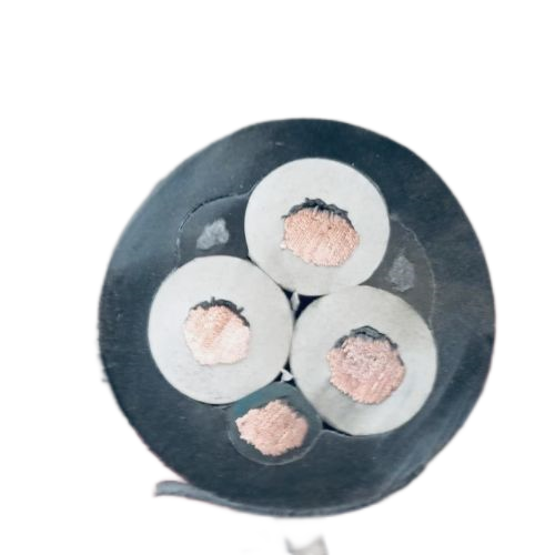 尊龙人生就是博·Z6「中国区」首页官网